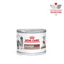 Alimento Húmedo Royal Canin Adulto Adulto Recovery 150 Gr