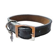 Collar Urban Dog Negro para Perro S