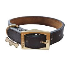 Collar Urban Dog Café para Perro S