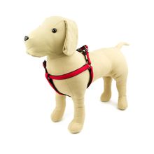 Arnés Great y Small Active Neoprene Rojo para Perro XL