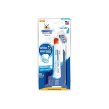 Kit Dental Nylabone Advanced Oral Care