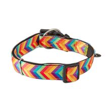 Collar Para Perro Max Molly Collar Summertime L