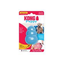 Kong Puppy Ch