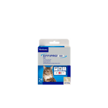 Effipro Dúo Cat 6 - 12kg 2 Pipetas