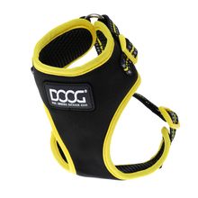 Arnes Doog Neon Bolt L