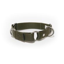 Collar Epic Pets Martin Olivo M