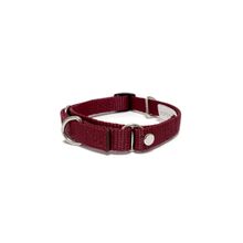 Collar Epic Pets Martin Vino S